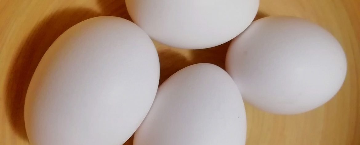 foto uova