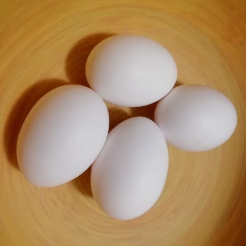 foto uova